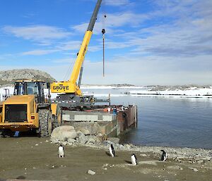 Penguins and a crane at the wharf.