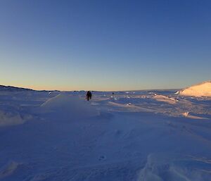 On the sea ice behind Shirley Island.