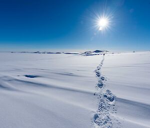Footsteps in the snow.
