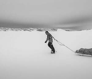 Expeditioner pulling a sled.