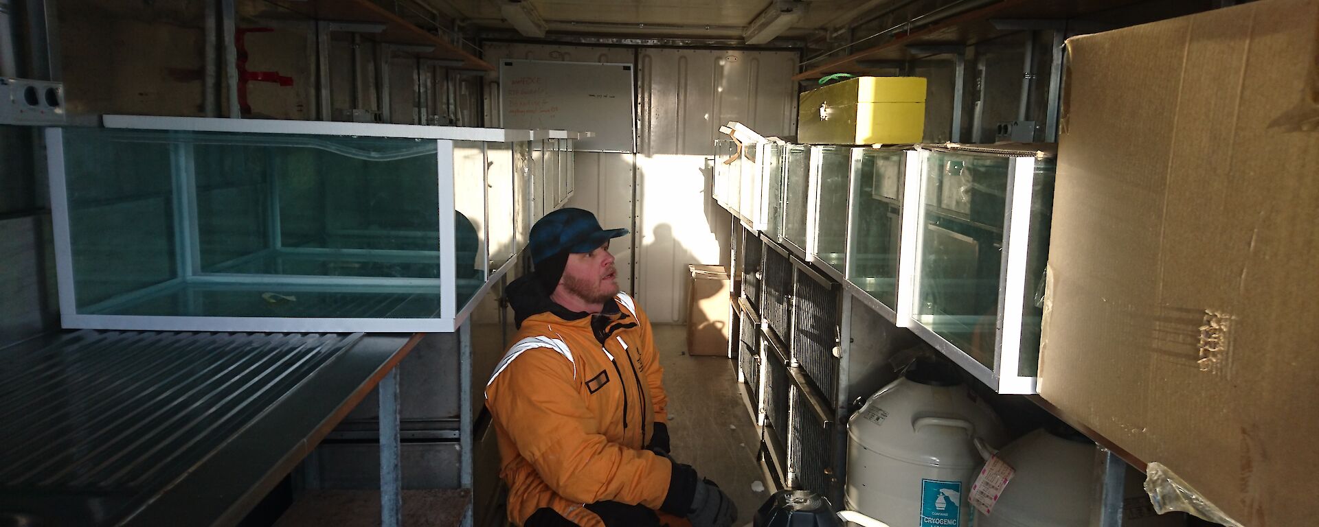 Mat in container full of fish tanks.
