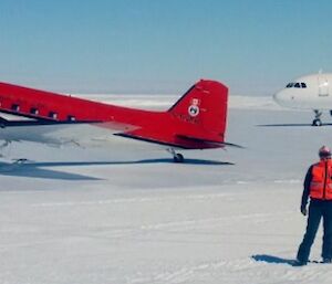 Misty and a Basler aeroplane on the runway.