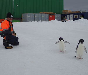 Mick kneeling outside with penguins close by.