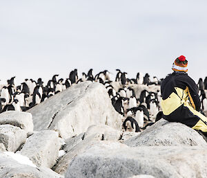 Expeditioner sitting on rocks in foreground with Adèlie penguins in background