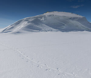 Foreground, pengiun tracks right to left, ice cliff with blue sky behind in background.