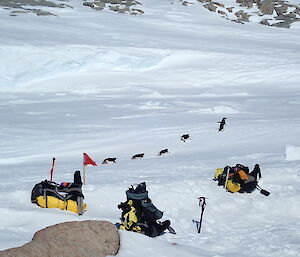 Foreground, three survival packs on slight snow slope down to sea ice, mid picture — five adelie penguins in a row travelling across the ice, background — snow slope up the other side of the ice with rocky outcrop.