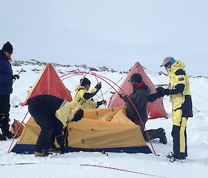 Five expeditioners contructing a yellow polar dome tent, yellow material being connected to pink rods placed in an arc over the tent base.