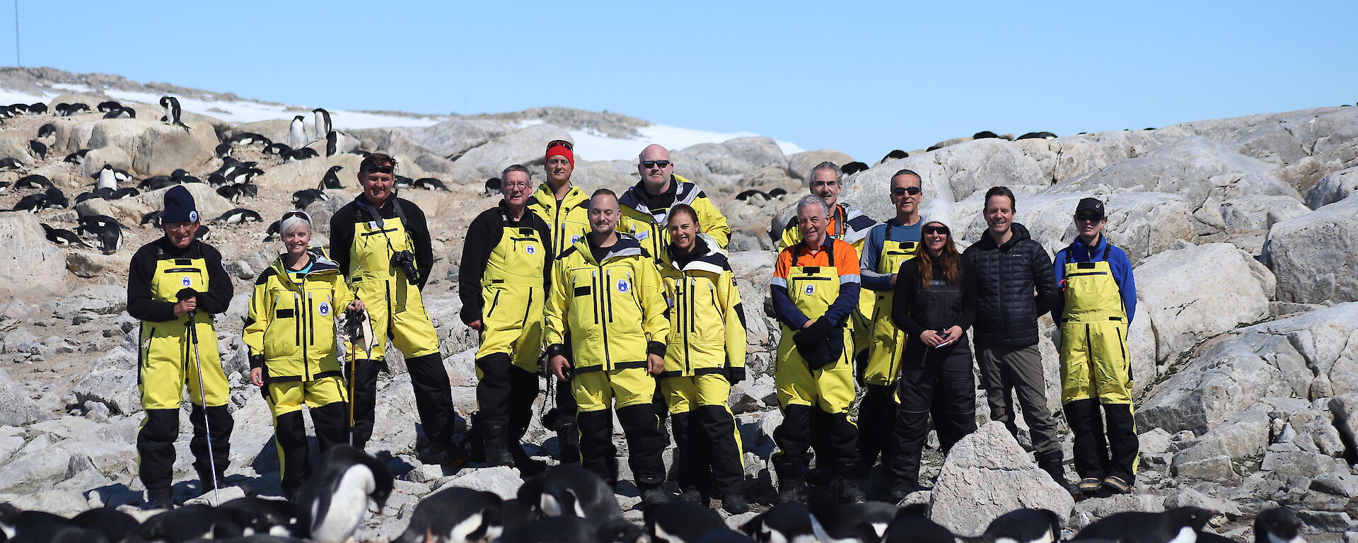 A group of expeditioners in Antarctic outfits (yellow and black) in a group, with penguins in rookery in foreground, rocky hill behind, blue sky in background.