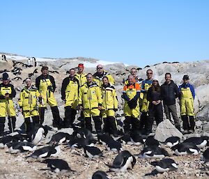 A group of expeditioners in Antarctic outfits (yellow and black) in a group, with penguins in rookery in foreground, rocky hill behind, blue sky in background.