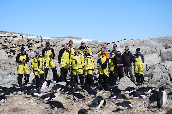 A group of expeditioners in Antarctic outfits (yellow and black) in a group, with penguins in rookery in foreground, rocky hill behind, blue sky in background.