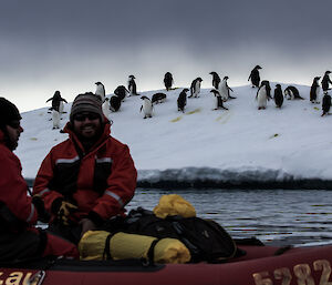 Close up of red IRB with three crew at front of left of picture. In background is white low iceberg with over 20 adele penguins on top.