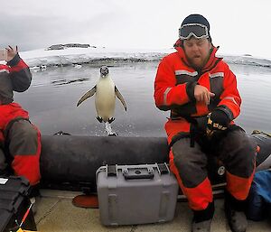 Two expeditioners in boat surprised by penguin jumping into air and preparing to land in boat