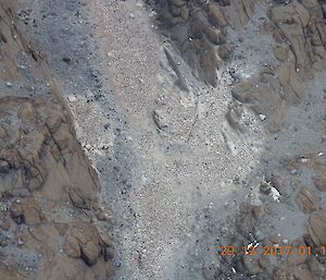 View of penguins from above, Rocky ground with hundreds of black dots