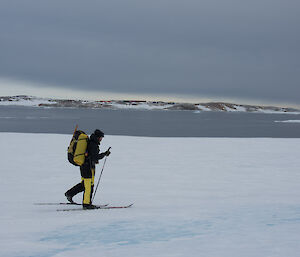 Man cross country skiing carrying pack, across flat snow covered ground in foreground. In back ground is Newcomb Bay and peninsula of snow and rock. Grey sky above.