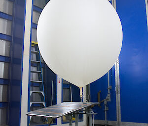 Inside of blue balloon shed with large white balloon being inflated on gas device attached to metal table