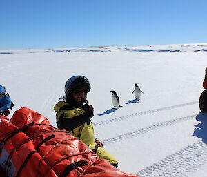 Man leaning against rear of quad bike in foreground, in middle of picture two adelie penguins looking on