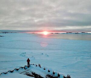 In foreground man from behind standing at edge of a wharf overlooking an expanse of sea-ice with sunset in the distance and grey clouds above