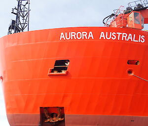 The bow of Aurora Australis, bright orange with crane at top right and anchor at bottom left, man waving through small porthole centre of bow