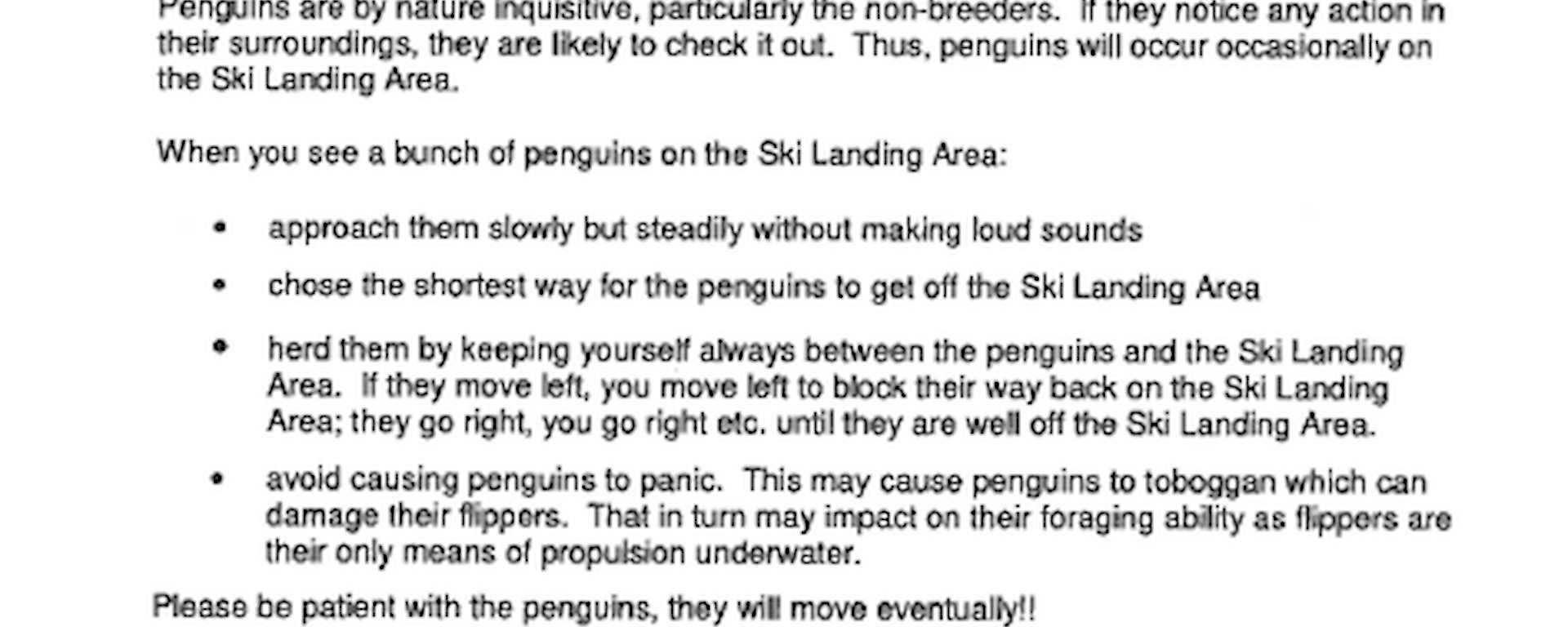 Document giving instructions for how to remove penguins from a runway