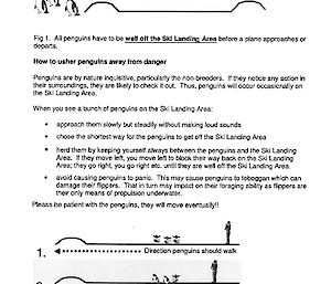 Document giving instructions for how to remove penguins from a runway