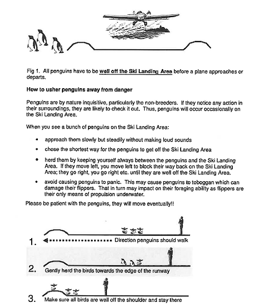 Document giving instructions for how to remove penguins from a runway