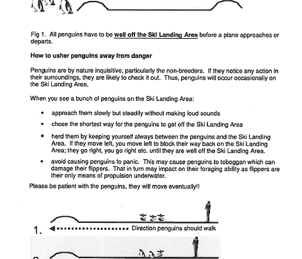 Document giving instructions for how to remove penguins from a runway