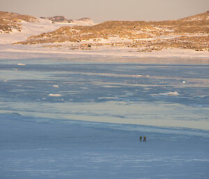 Two men in the distance crossing the sea ice with rocky coastline behind