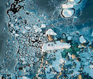 Sea ice from above showing round pancake ice forming