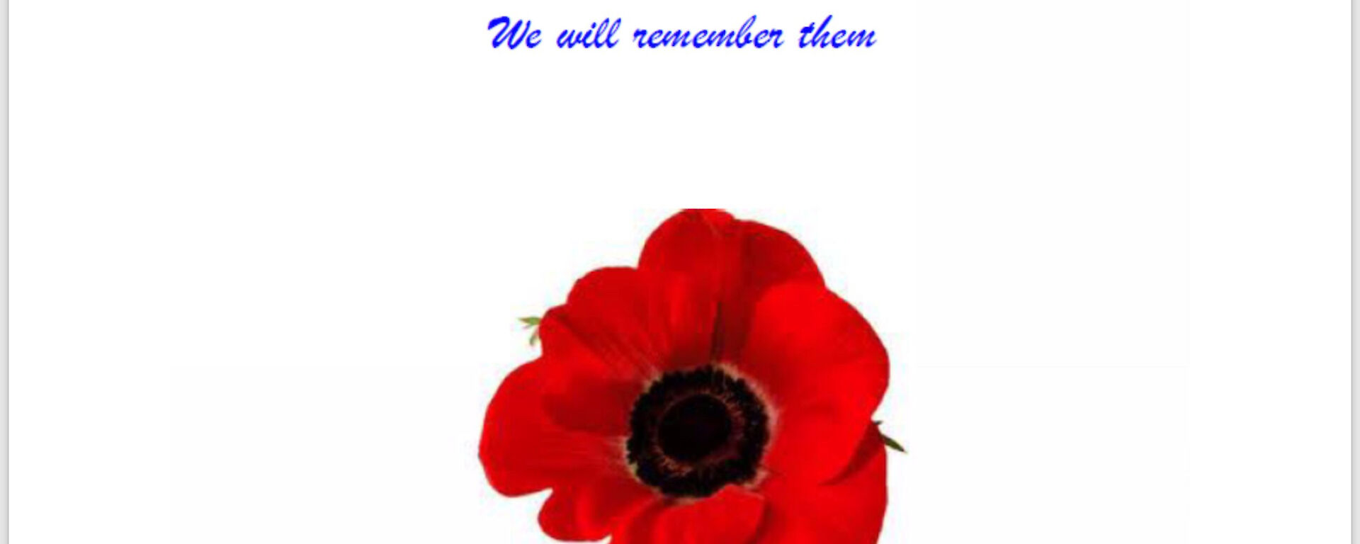 A photo of the pamphlet of Casey’s Remembrance Day Ceremony