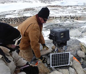 Colin and Phoebe setting up a new camera to monitor the Adélie penguins at Shirley Island near Casey Research Station with penguins in the background