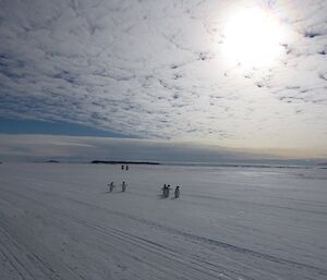 Davis sea ice ski landing area, a flat field of ice, with penguins.