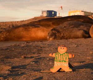 Gingerbread man on beach in front of elephant seals. Davis station in background