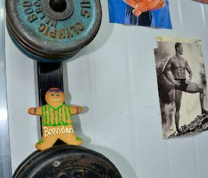 Gingerbread man standing on free weights in a gym