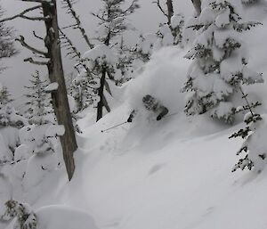 Man skiing through a forest in Japan