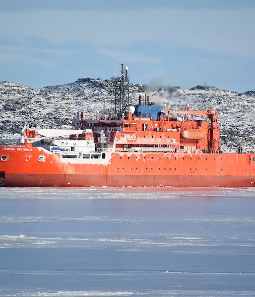 Large orange ice breaker ship in foreground. snow covered island in rear