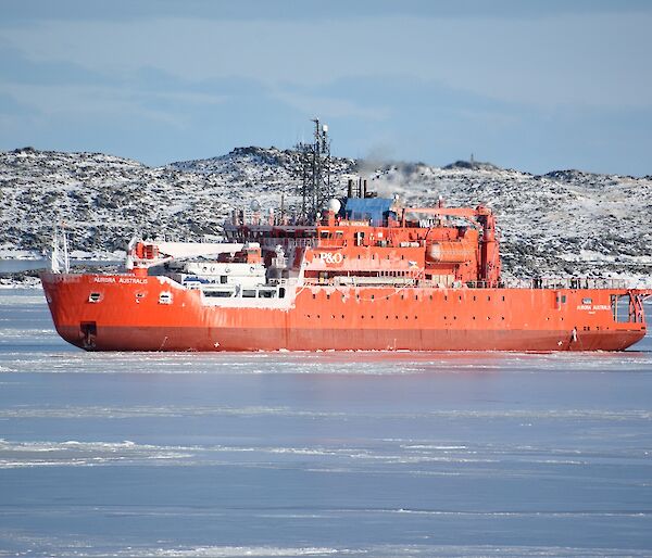 Large orange ice breaker ship in foreground. snow covered island in rear