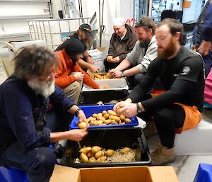 Group of expeditioners sitting on plastic bins de-sprouting potatoes