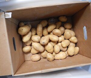 Box of potatoes