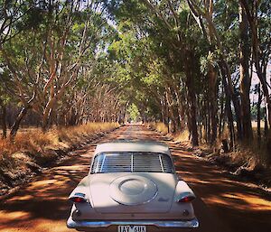 Vintage car on country road