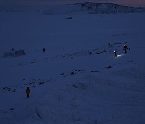 search parties conducting a visual inspection of an area covered in snow in the dark