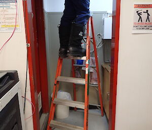 Expeditioner photographed waist down on top of a ladder working in a ceiling space
