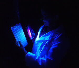 Doctor in white lab coat checking a water sample under ultra-violet light