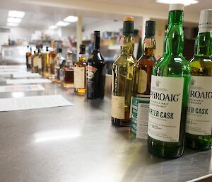 Whisky bottles all lined up in a row