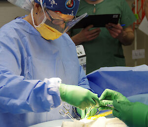 Members of the lay surgical team in surgical gowns in the theatre practising procedures