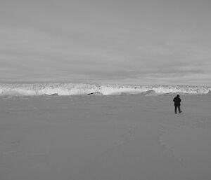 Expeditioner walking in foreground. In background immense wall of ice from glacier rises above the sea ice