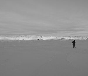 Expeditioner walking in foreground. In background immense wall of ice from glacier rises above the sea ice