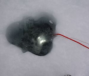 Photo of a small underwater robot looking into the ice hole in which it is descending