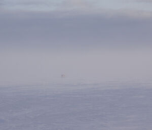 Red tracked Hägglunds vehicle in distance as wind creates a white haze out on the sea ice.