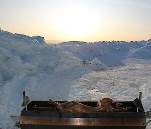 Lamb on a spit roast in foreground with a snowbank in background