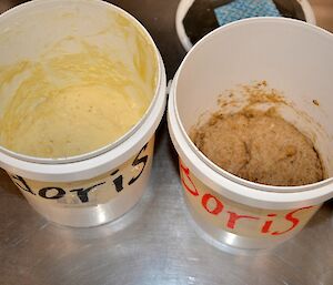 Two white bins of sourdough and rye starter in the kitchen